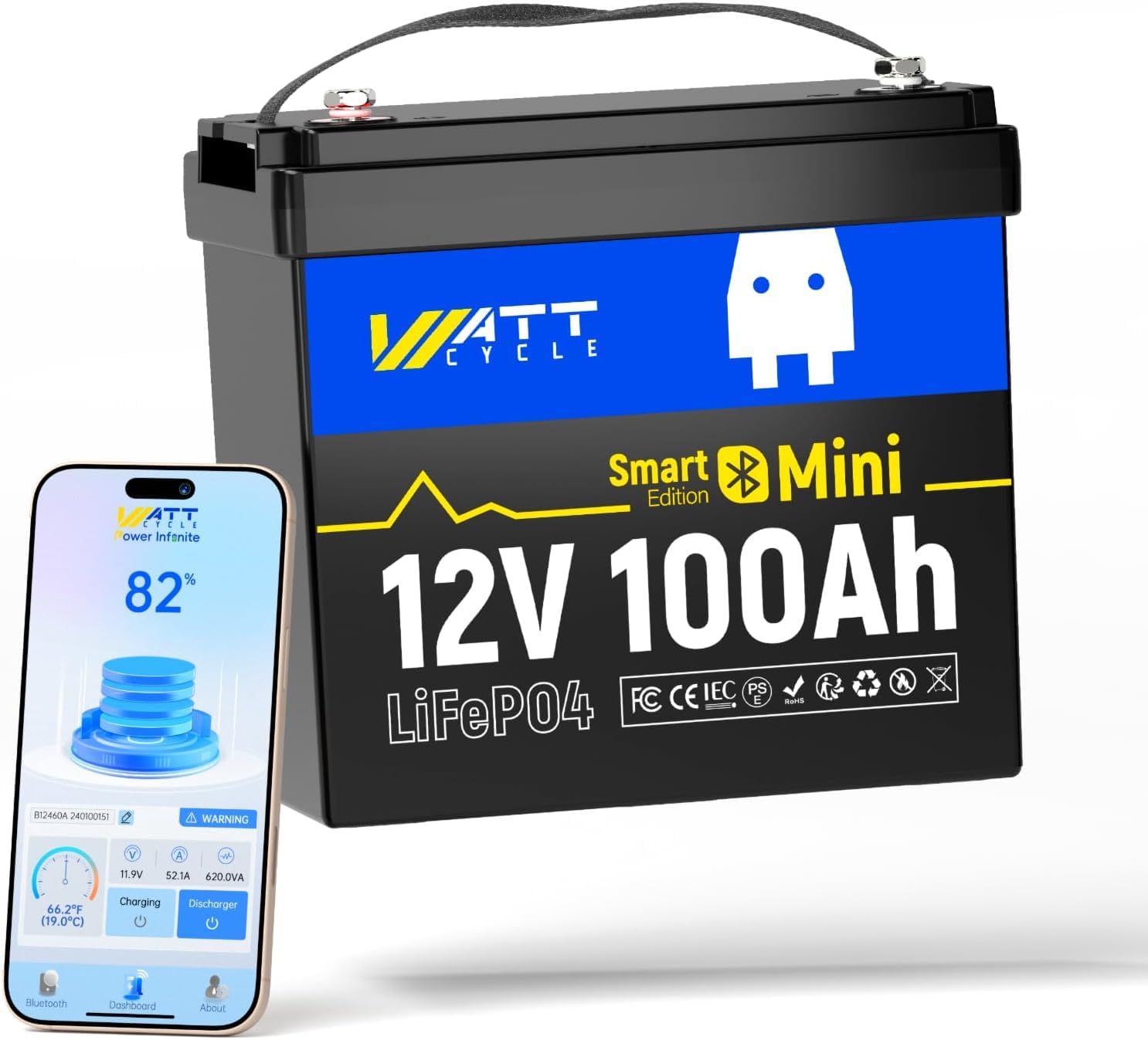 12V 100Ah Mini LiFePO4 Battery - Lifepo4 12V 100Ah Bms Bluetooth ulasan dan harga